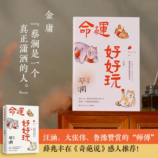 命运好好玩  蔡澜 商品图0