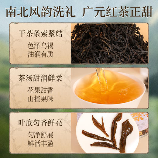 正山堂 广元红试饮集 骏眉中国剑门1985 蜀道野茶大秦岭特级红茶12g 商品图3