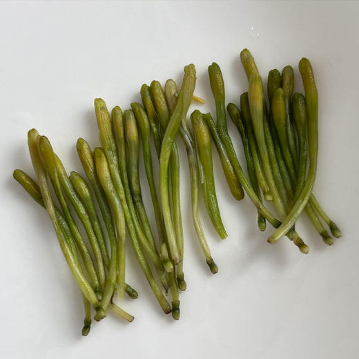五峰印象金银花茶200g/罐 商品图3