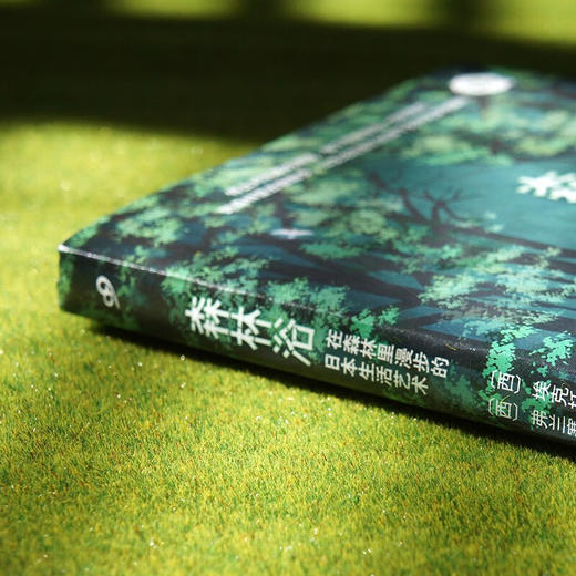 森林浴 在森林里漫步的日本生活艺术 幸福关键词 埃克托尔•加西亚等 著 文学 商品图1