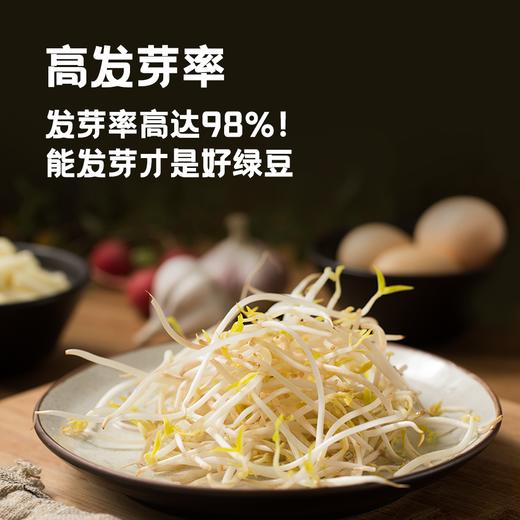 有机营养赤峰有机绿豆 商品图2