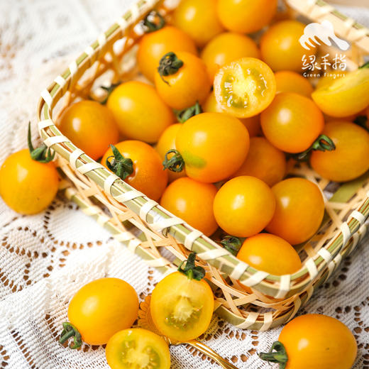 生态圣女果 | 合作生产 *Eco- tomato | Coprodution 商品图0