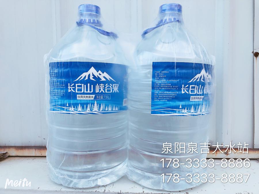 泉阳泉~峡谷泉7.57升一次性包装水
