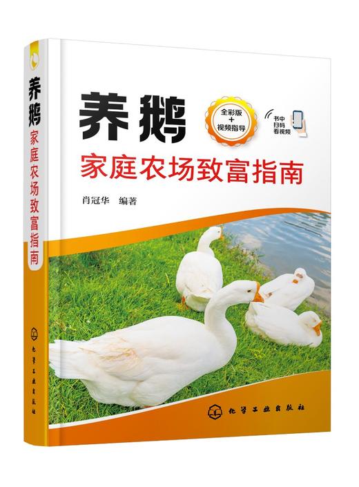 养鹅家庭农场致富指南 商品图0