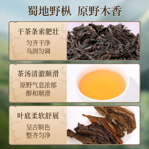 正山堂 广元红试饮集 骏眉中国剑门1985 蜀道野茶大秦岭特级红茶12g 商品图2