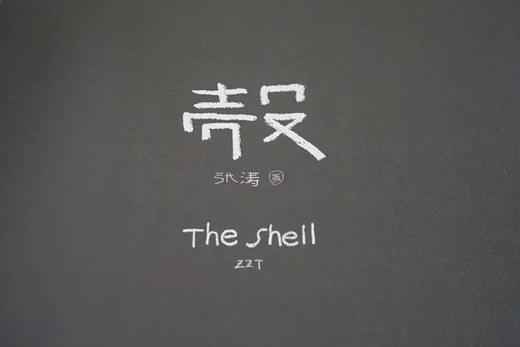 《壳  The Shell》张涛摄影集/河北美术出版社 商品图1