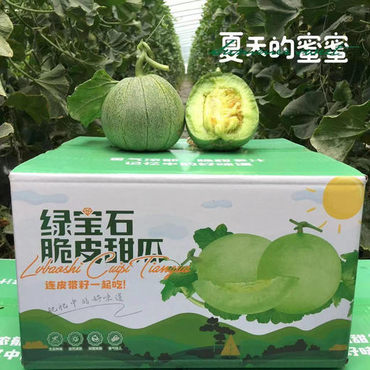 绿宝石牛奶甜瓜盒装 商品图1