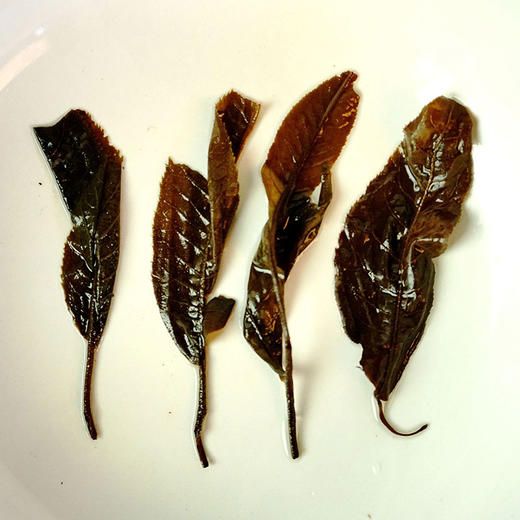 五峰特产 青钱柳原叶茶 实惠口粮茶250g/罐 商品图3