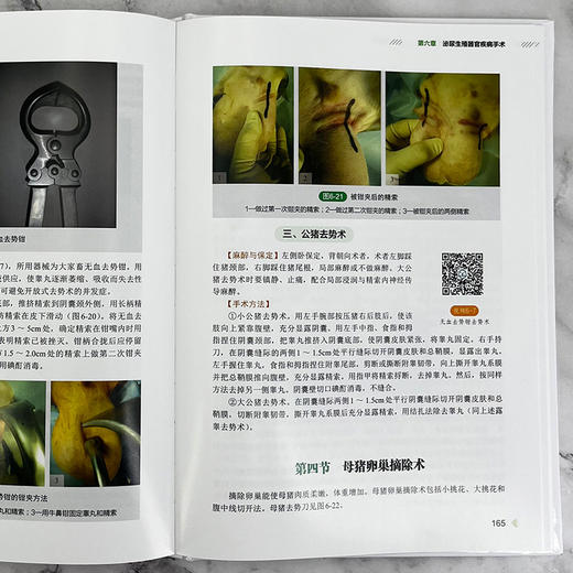 家畜外科手术彩色图解（扫码看视频） 商品图5
