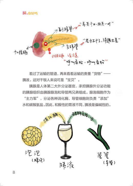 胰 你好吗 项红 尚东主编 胰腺解剖生理医学知识科普 急性慢性胰腺炎等常见胰腺外分泌疾病预防治疗 人民卫生出版社9787117346375 商品图4