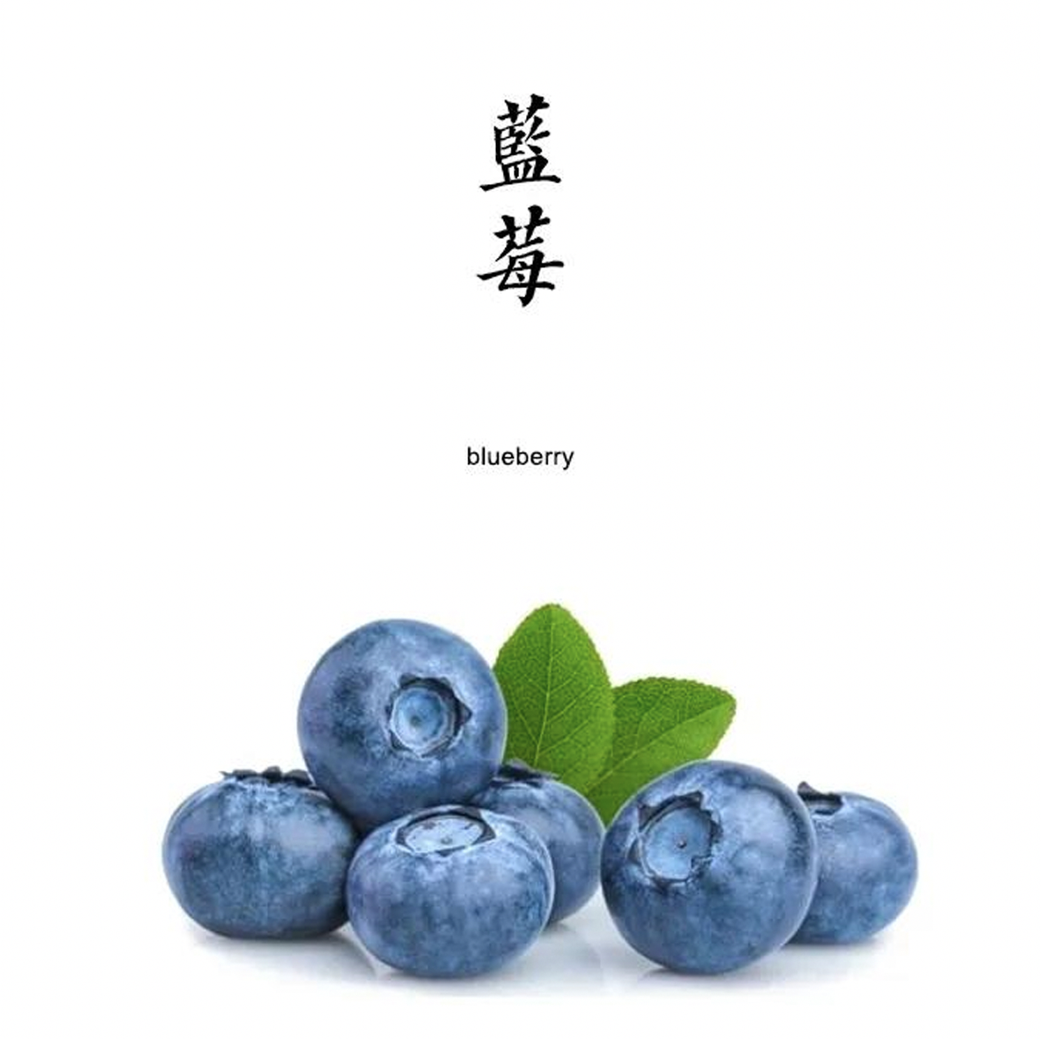 2026年泊里有机蓝莓 125g/盒  产地：山东青岛 【包邮装】