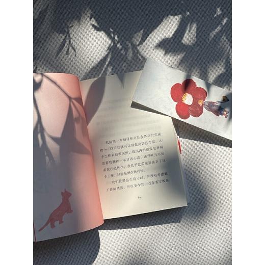 在小山和小山之间（妈妈能给的爱，就是一次又一次得体地退出我的生命。毛尖、郑执动情推荐）(李停) 商品图2