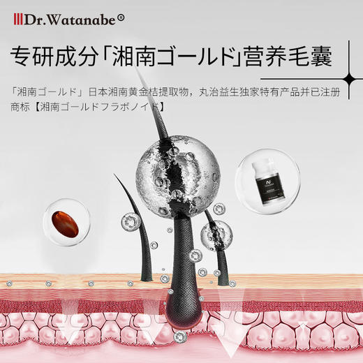 【2025升级版】Dr.Watanabe丸治益生焕发韧发NMN焕黑丸 商品图5