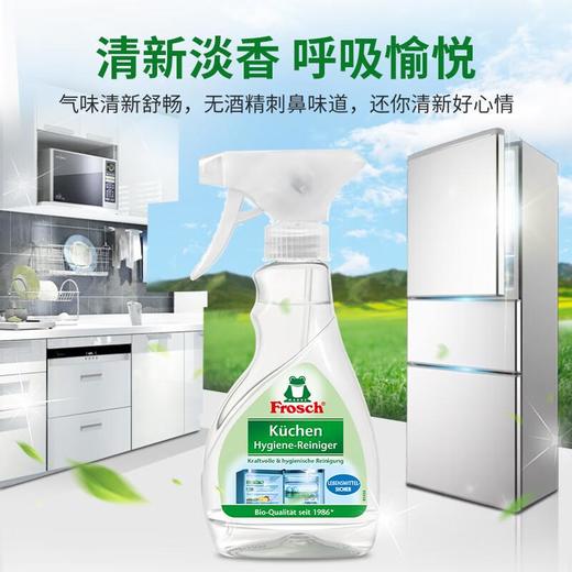 Frosch福纳丝 环保冰箱洁净除味喷剂300ml 商品图1