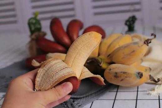 【改为顺丰空运】海南树熟野生山林芭蕉粉蕉，山里寻找现摘现发，自然地味道香甜软糯基地直邮 商品图2