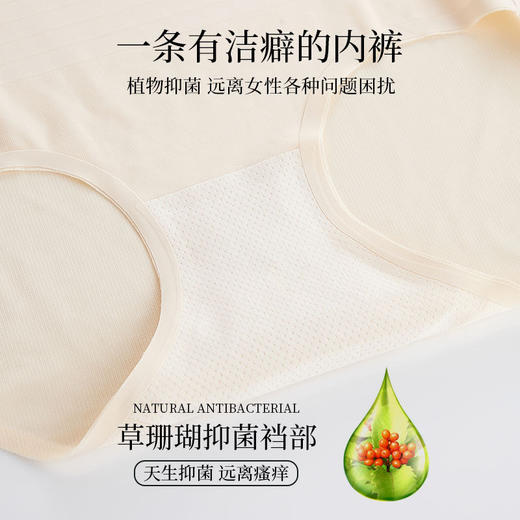 超值2条装「秒变蜜桃臀」日系单超薄无感收腹裤 无痕云感裤高腰提臀 收肚子塑形束腰小神 收腹提臀 干爽超舒适 会呼吸的内裤 商品图3