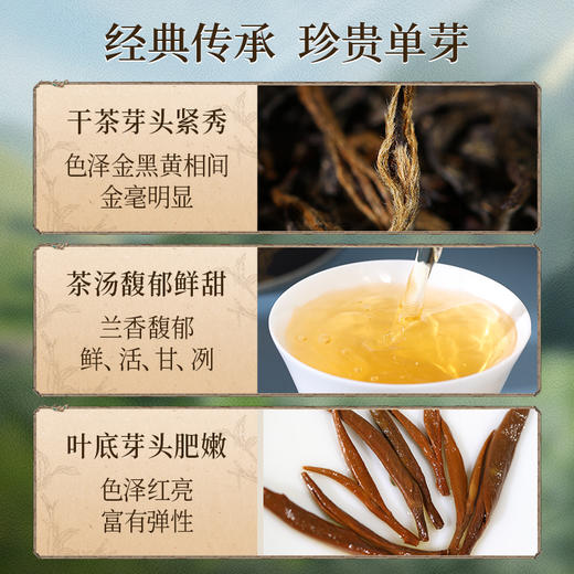 正山堂 广元红试饮集 骏眉中国剑门1985 蜀道野茶大秦岭特级红茶12g 商品图1