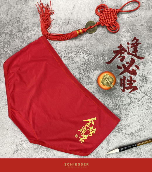 （女状元）SCHIESSER德国舒雅女生金榜题名旗开得胜零碳莫代尔小裤(1条装)30/21907T 商品图0