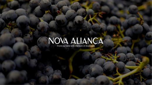 【巴西进口】 非浓缩还原果汁（NFC） 0添加  100%天然有机葡萄汁 1L/瓶 商品图2