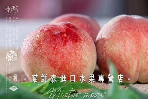 🛵金秋红蜜水蜜桃【软甜】 商品图3