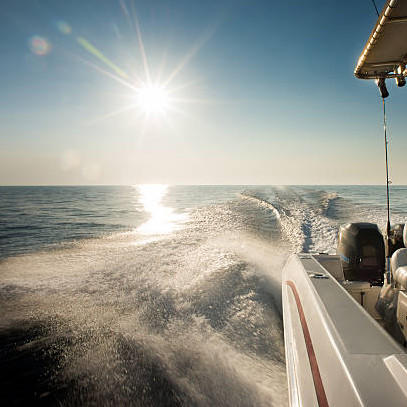 【包船】深圳大鹏海钓｜多种海钓艇可选｜可选4小时-8小时 商品图2