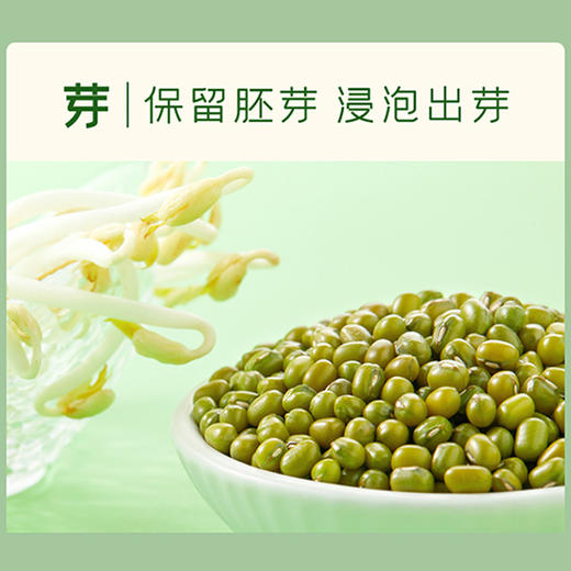 古驿七台爱心绿豆1kg/盒 商品图3