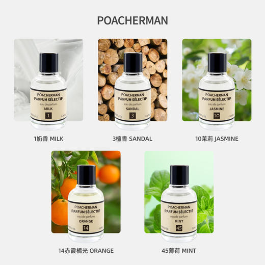 柏世曼臻选香水礼盒 奶香檀香茉莉花橘香薄荷味香水七夕礼物送女朋友 商品图2