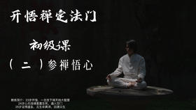 开悟禅定法门中级课（二）：参禅悟心