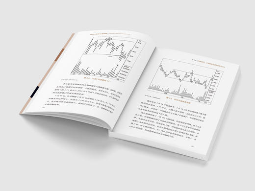 威科夫量价分析图解 商品图3