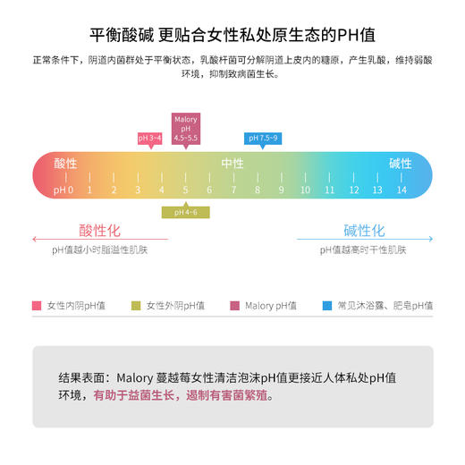 【澳洲进口Malory】蔓越莓私处清洁泡沫 商品图2