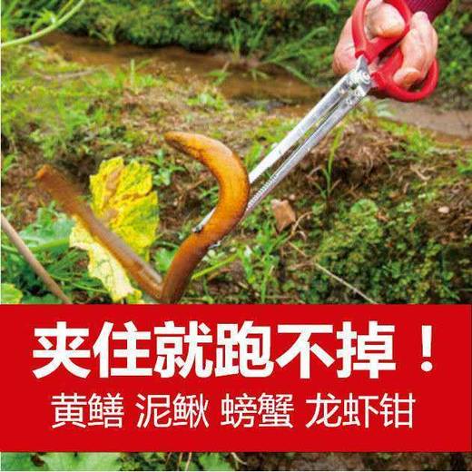 不锈钢黄鳝夹小龙虾夹子垃圾夹赶海拾贝螃蟹夹多款式夹子 商品图1