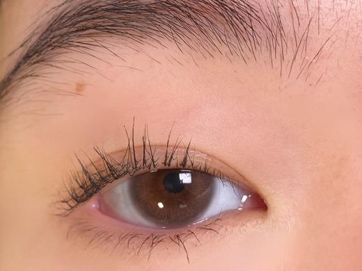 Aromi一副2片-Lucency BROWN小水泡棕 商品图9