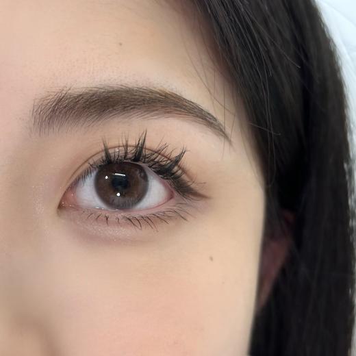 Aromi一副2片-Lucency BROWN小水泡棕 商品图13