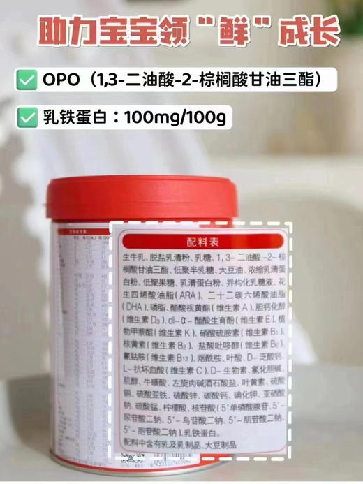 旗帜800g红旗新国标1-3段 特价一罐228元 商品图5