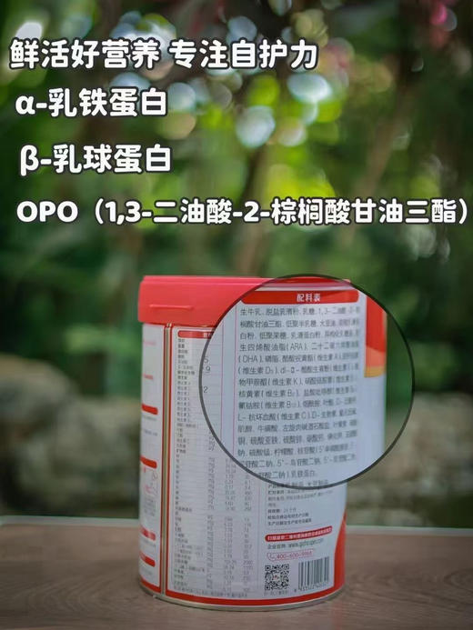 旗帜800g红旗新国标1-3段 特价一罐228元 商品图3