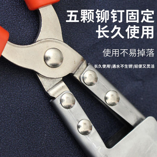 黄鳝夹鳝鱼钳抓鱼泥鳅螃蟹夹子钳子垃圾夹子赶海神器专用加长鳝夹 商品图7