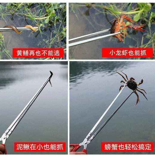 不锈钢黄鳝夹小龙虾夹子垃圾夹赶海拾贝螃蟹夹多款式夹子 商品图3