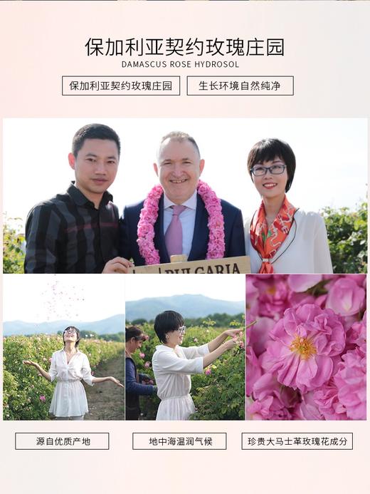 【微商城】大马士革玫瑰精华油 滴滴臻萃 K皱养颜 焕亮嫩肤 10ml 商品图2