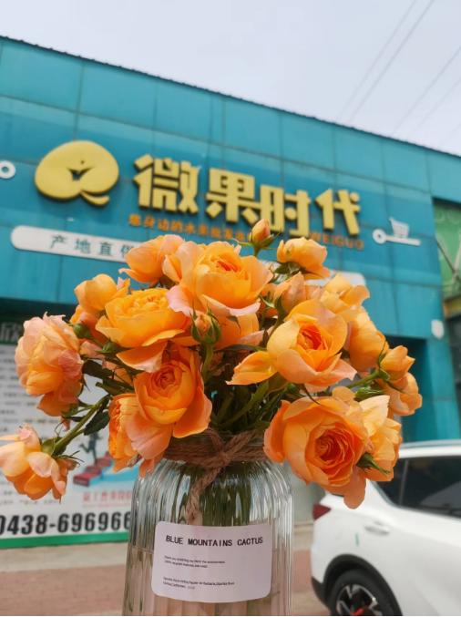 阳光芭比花束 商品图1