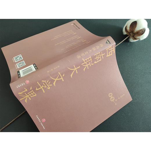 西南联大文学课 商品图2