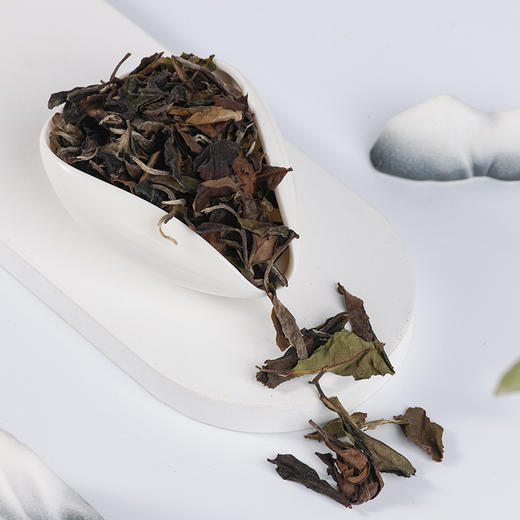 曦白【野韵雪兰】80g/盒 云南白茶散茶 商品图4
