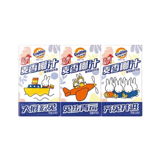 阿华田麦香椰汁饮料250ml 商品图1