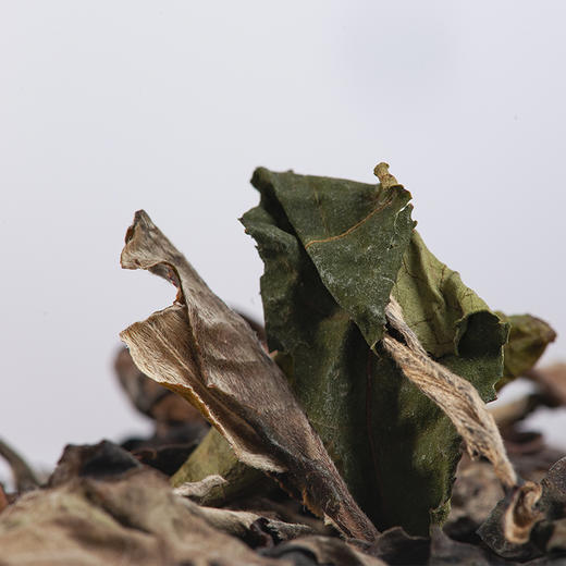 曦白【野韵雪兰】80g/盒 云南白茶散茶 商品图3