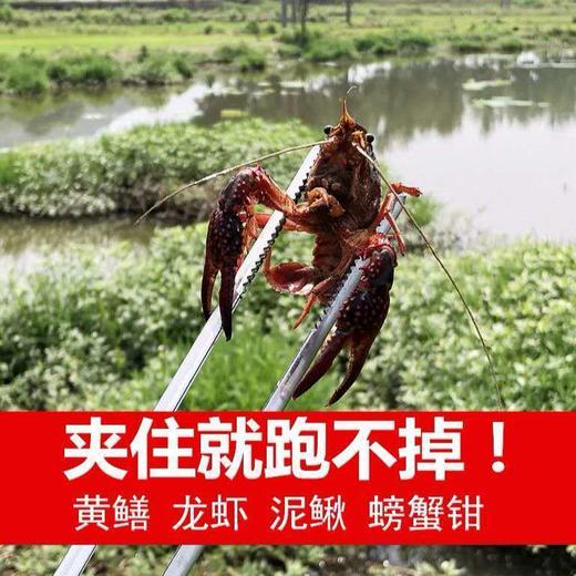 不锈钢黄鳝夹小龙虾夹子垃圾夹赶海拾贝螃蟹夹多款式夹子 商品图2