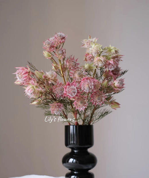 【爱与自由】国产新娘花  粉色  5枝/扎 商品图7