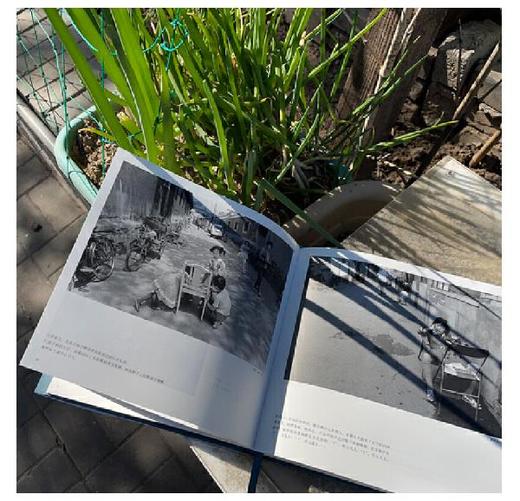 【签名版】《胡同里的日常》尚君义著/北京联合出版有限公司 商品图5