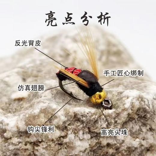 路亚假饵*真苍蝇鱼钩飞蝇钩翘嘴白条黑鱼草鱼鲈鱼昆虫钩仿生钩 商品图2