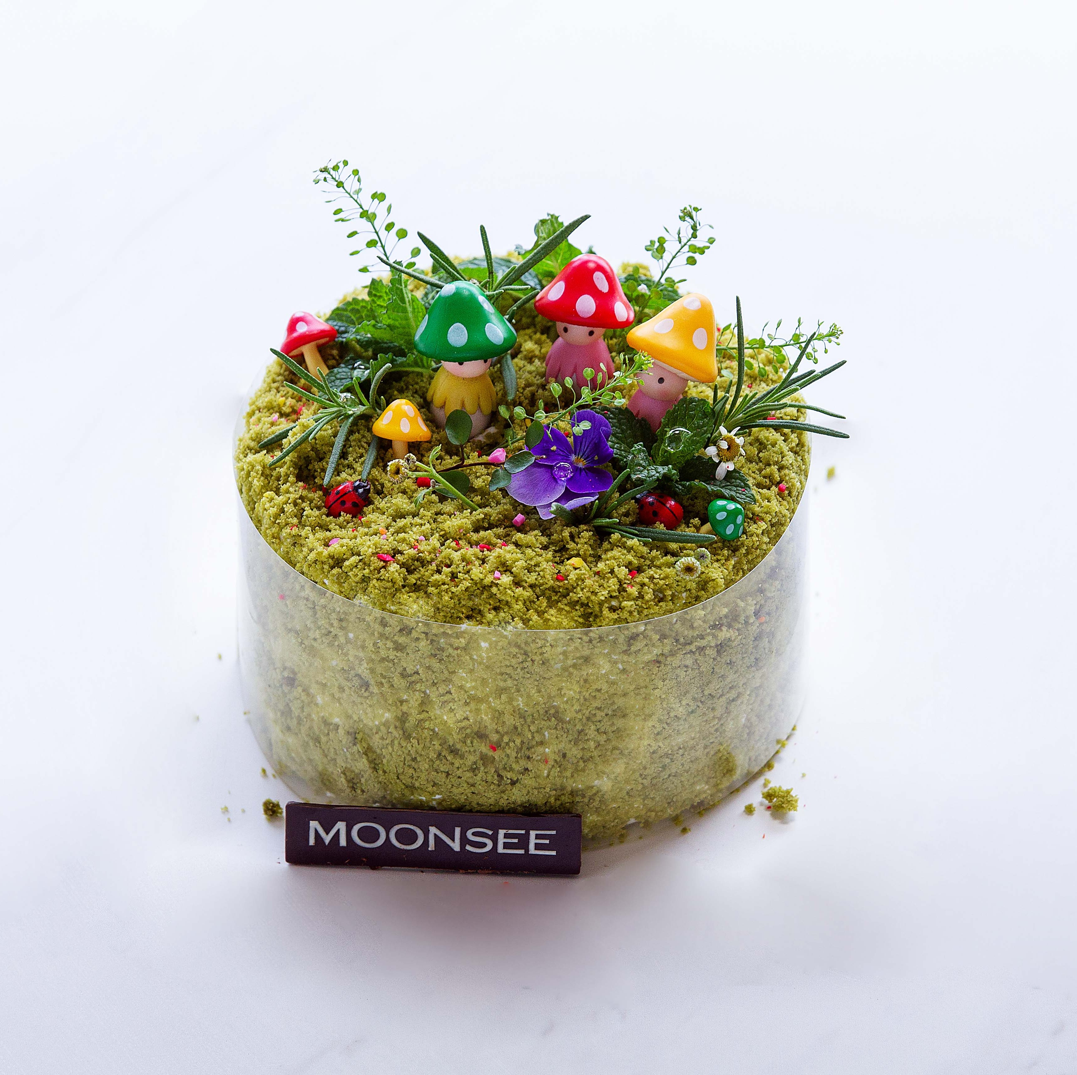 森林里的小宝贝