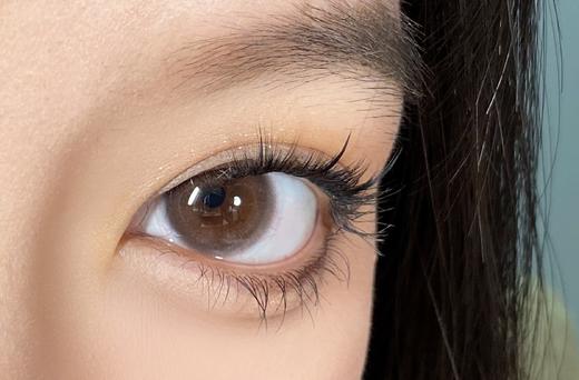 Aromi一副2片-Lucency BROWN小水泡棕 商品图7