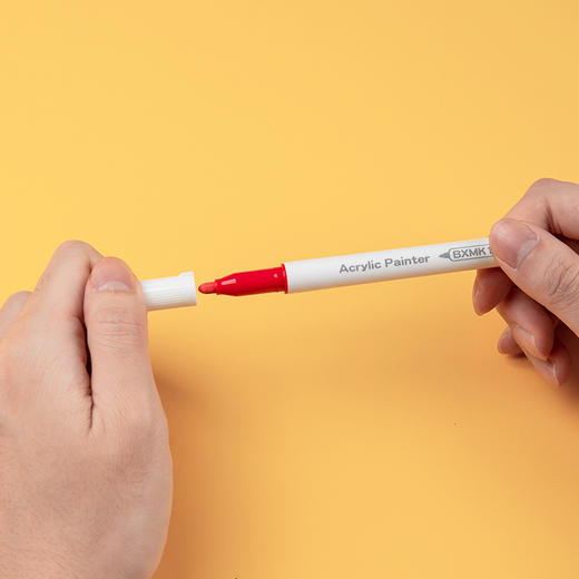 齐心BXMK10-12丙烯马克笔彩色记号笔彩色水笔防水覆盖附着性好学生儿童彩绘12色 商品图4